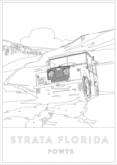 Strata Florida Poster Print