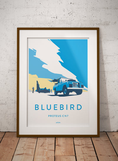 Series 2 'Bluebird' print
