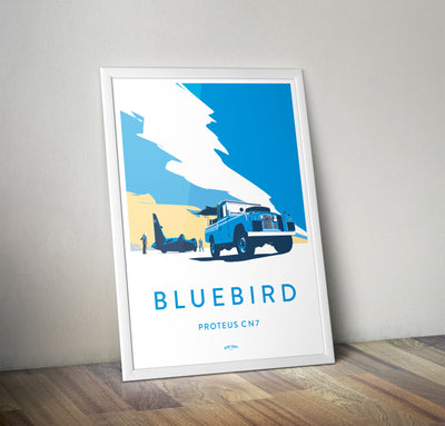 Series 2 'Bluebird' print